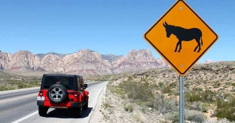 How Many Miles will a Jeep Wrangler Last